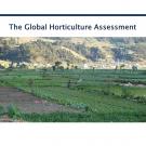 Revisiting the ‘Global Horticulture Assessment’ - slide