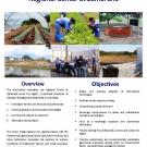 Poster: Horticulture Innovation Lab Regional Center at Zamorano