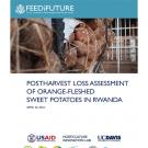 "Postharvest Loss Assessment of Orange-Fleshed Sweet Potatoes in Rwanda" title page with image of 