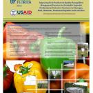 Improving fruit postharvest quality through best management practices for vegetable production in Central America poster