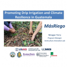 "Promoting Drip Irrigation and Climate Resilience in Guatemala" photo of drip irrigation on a mulched bed, title slide
