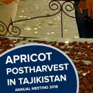 "Apricot postharvest in tajikistan, annual meeting 2018" text on photo of apricots drying