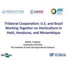 Title Slide: Horticulture in Haiti, Honduras, and Mozambique