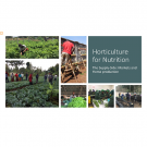 Title slide from Valerie Davis's Horticulture for Nutrition Presentation with photos of farmers in vegetable fields