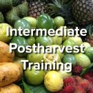 Intermediate Postharvest Training - words on background image of fresh fruits and vegetables at market