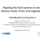Aligning the food system to meet dietary needs: fruits and vegetables - introduction to session 1 title slide