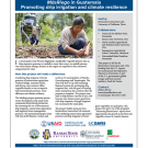 Project fact sheet: MasRiego in Guatemala - Promoting drip irrigation and climate resilience