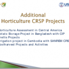 Other Horticulture CRSP projects