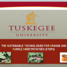 Research on orange- and purple-fleshed sweet potatoes