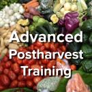 Advanced Postharvest Training - words on background image of fresh vegetables and fruits in market