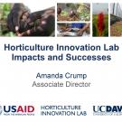 Horticulture Innovation Lab successes and impacts - title slide