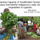 Increasing capacity of smallholder farmers to produce and market indigenous leafy green vegetables