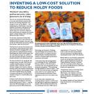 success story fact sheet: Inventing a low-cost solution to reduce moldy foods