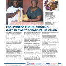 From vine to flour: Bridging gaps in sweet potato value chain