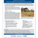 Cultivo de hortalizas con la agricultura de conservación - Spanish fact sheet