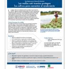 Las mallas anti-insectos protegen los cultivos para aumentar el rendimiento - Agricultural nets fact sheet in Spanish
