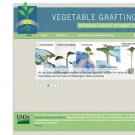 Vegetable grafting research-based information portal website image