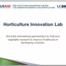 Slides: Horticulture Innovation Lab Overview and Importance of Improving Postharvest Practices 