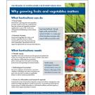 Fact sheet - why horticulture, how growing fruits and vegetable matters for poverty reduction