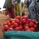 Bin of tomatoes on ground in a market in Rwanda