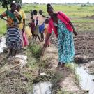 Women farmers standing on the edges of canals in farming field, one holding a hoe to divert water