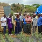 Group visits pineapple plot at demonstration center in Guinea