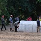 Farmer group sets up net tunnel in Cambodia