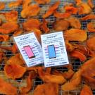 DryCard™ indicates dryness for safe food storage